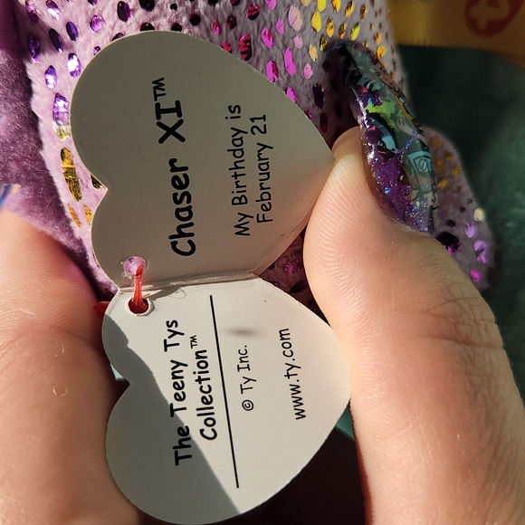 Ty Chaser XI - Picture 4 of 5